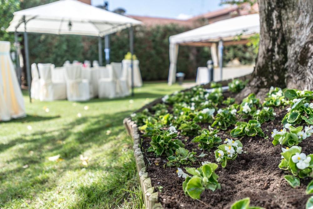 Hotel Il Vigneto Gattinara Zewnętrze zdjęcie